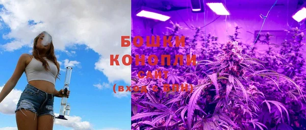 мяу мяу мука Беломорск