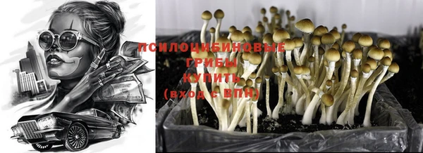 мяу мяу мука Беломорск