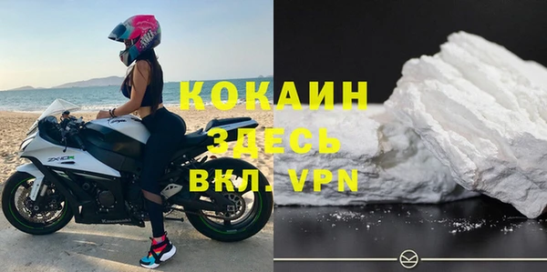 твердый Белокуриха