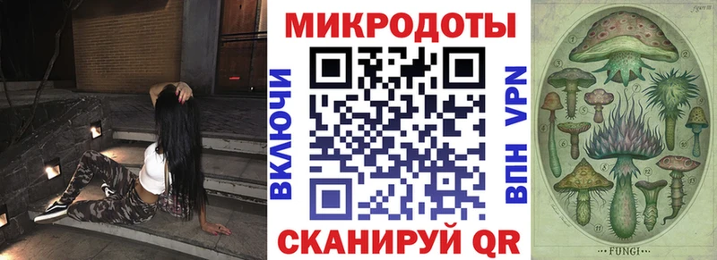 Галлюциногенные грибы Psilocybine cubensis  Вельск 